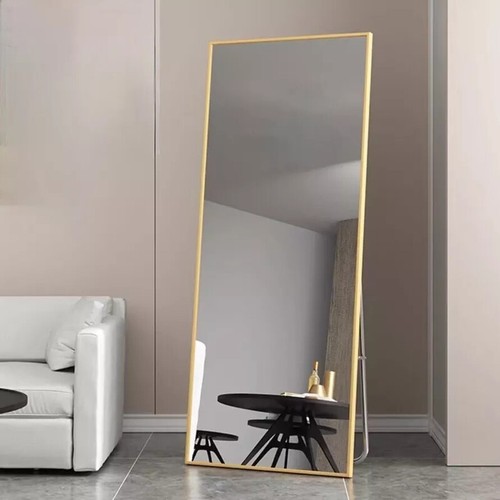 Metal frame full length mirror - metal,